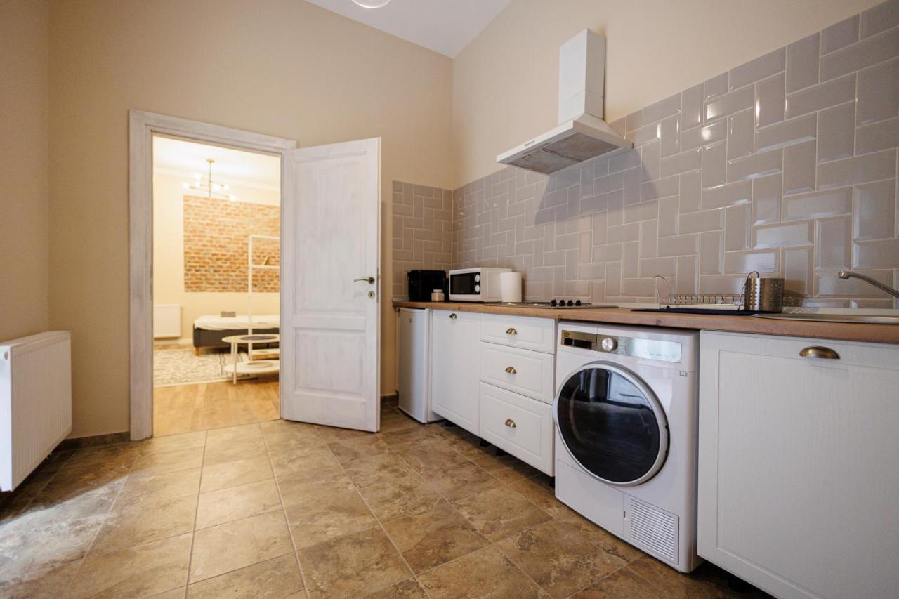 Jolie Flat In The Heart Of The City Temešvár Exteriér fotografie
